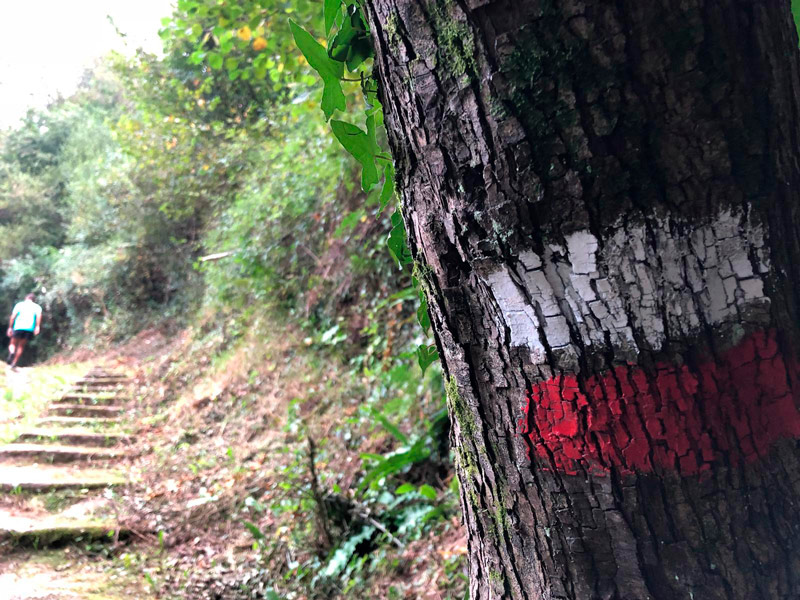 Uzturre GR Camino Tolosa Izaskun